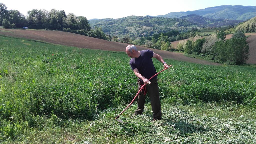 Agriturismo Stazione Di Monta Villa Vicchio Eksteriør bilde