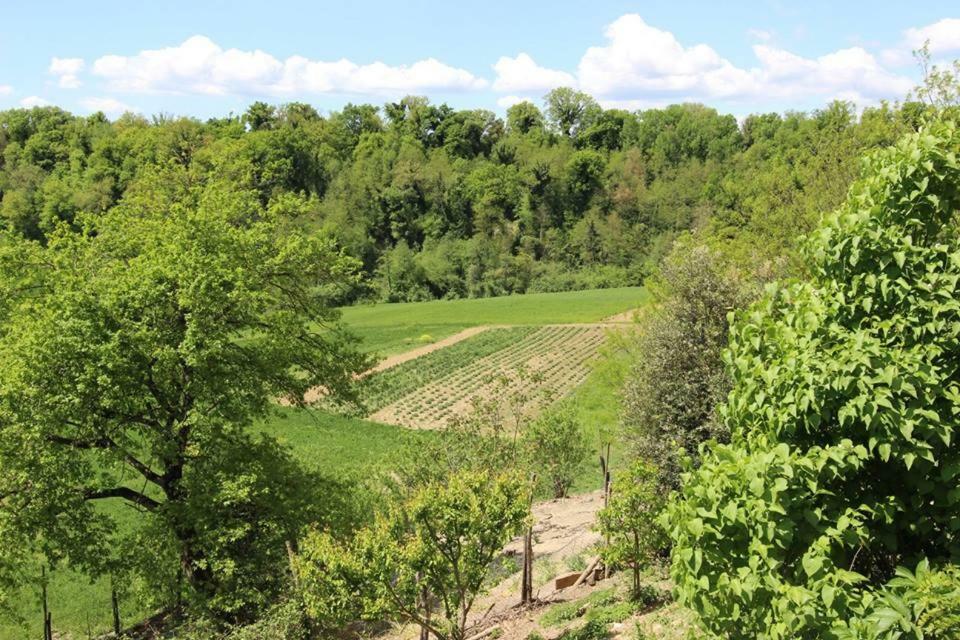 Agriturismo Stazione Di Monta Villa Vicchio Eksteriør bilde